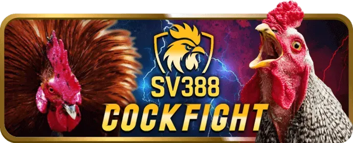 Casino Trực Tuyến 77king88 nhà cái